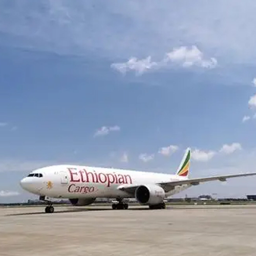 Forwarder Sea Freight Shipping Custom Agents to DDP Shipping From China to Ethiopia Logistics Company