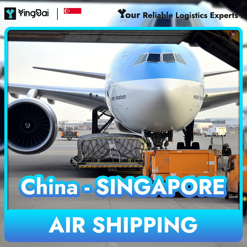 Speedy Ningbo to The Singapore Sea Shipping Solutions Spring Tube Shipping Logistics