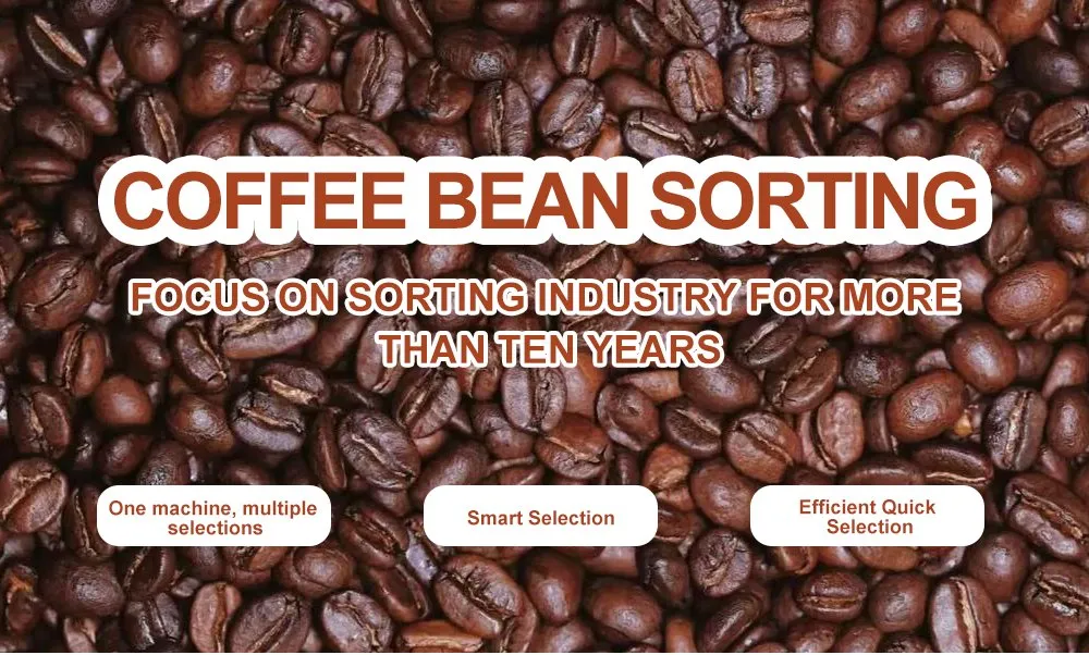 Specification Part 1