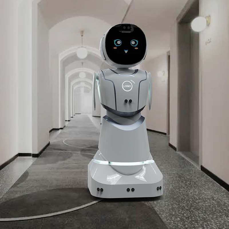 Educational Lesson Planning Progress Tracking Tutoring Aid Humanoid Service Robot