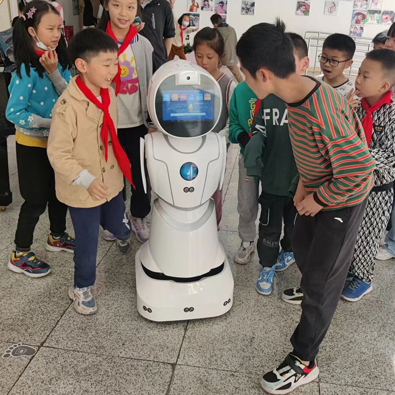 Ai-Based Natural Language Processing Emotional Understanding Humanoid Robot