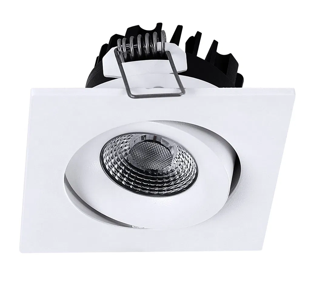 Black Downlight