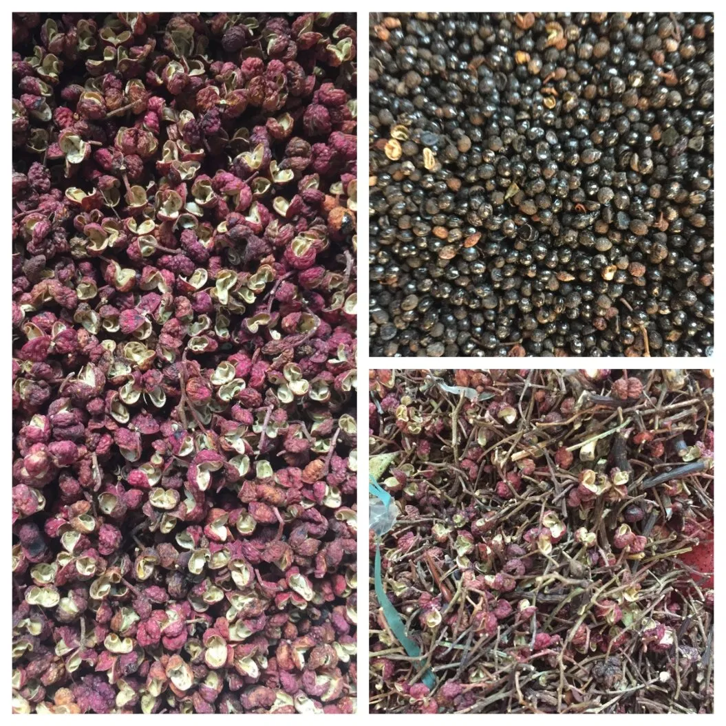 Optical Intelligent Vision AI Peeled Garlic Sorting Machine TAIHO Color Sorter