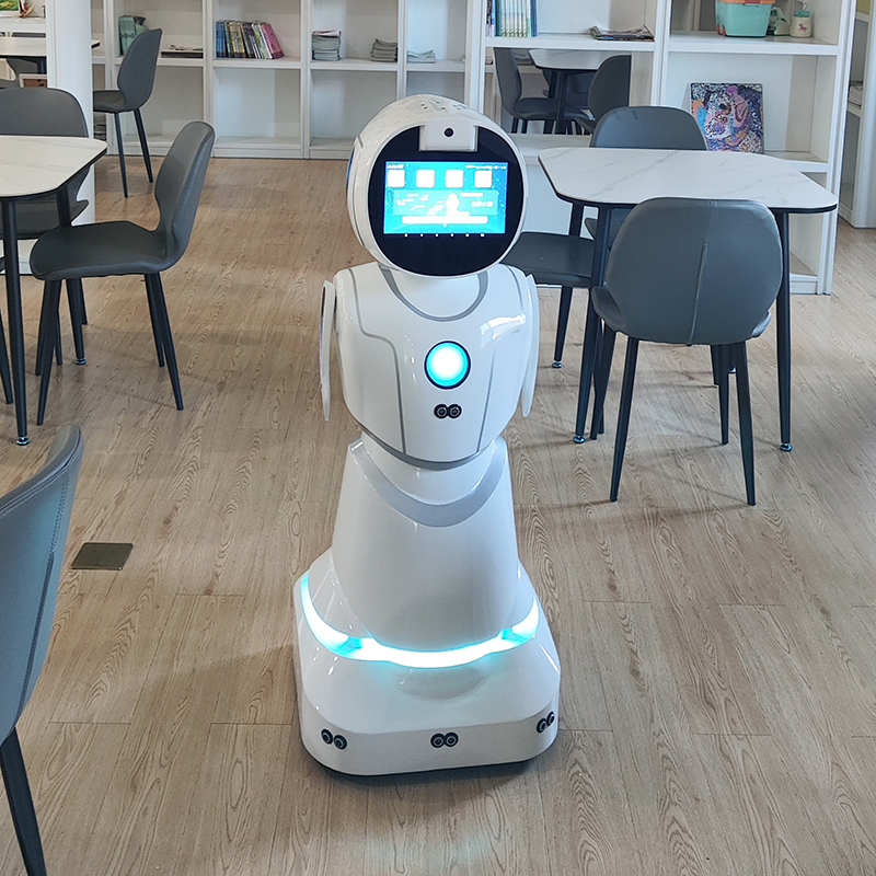 Educational Stem Coding Lessons Interactive Games Humanoid Service Robot