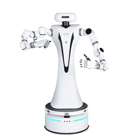 Dual Arm Compound Robot Providing Services for Education Industry
