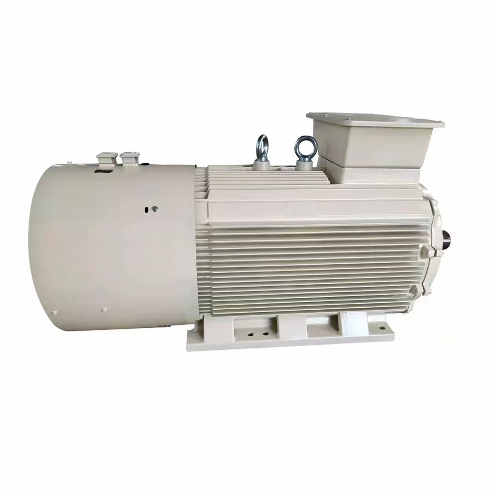 Environmental Protection Data Center Cooling Fans Single Phase Induction Motor 1/2 HP Three-Phase Electric Motor