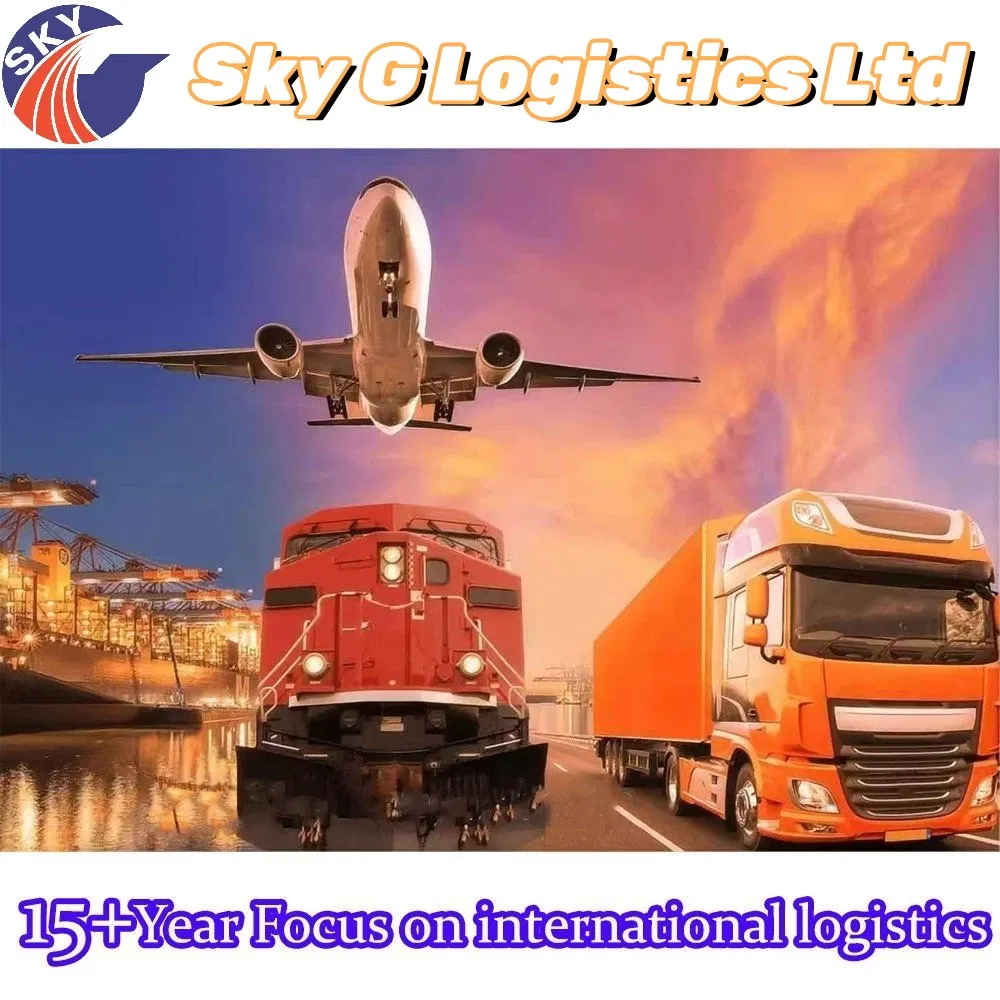 Sea Freight Forwarder FCL LCL Shipping Cargo Oog Shipment From China to Us Africa Europe Dubai Saudi Arabia Sea Shipping DDP Logistics
