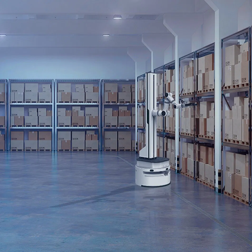 Realman Dual-Arm Mobile Compound Robot Platform for Education, Research, and Intelligent Training