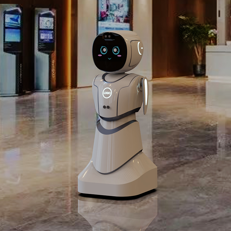 Ai-Powered Conversation Skills Emotional Recognition Social Interaction Humanoid Robot