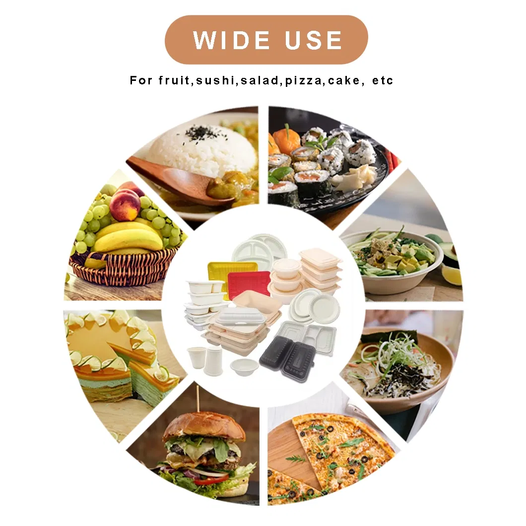 Wheat Straw Plate Display 4