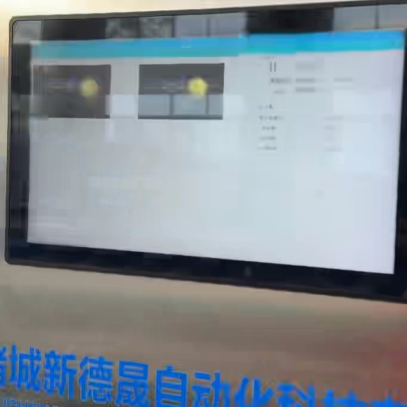 China Supplier Automatic Fruit Sorting Machine with Ai Vision for Apples Citrus