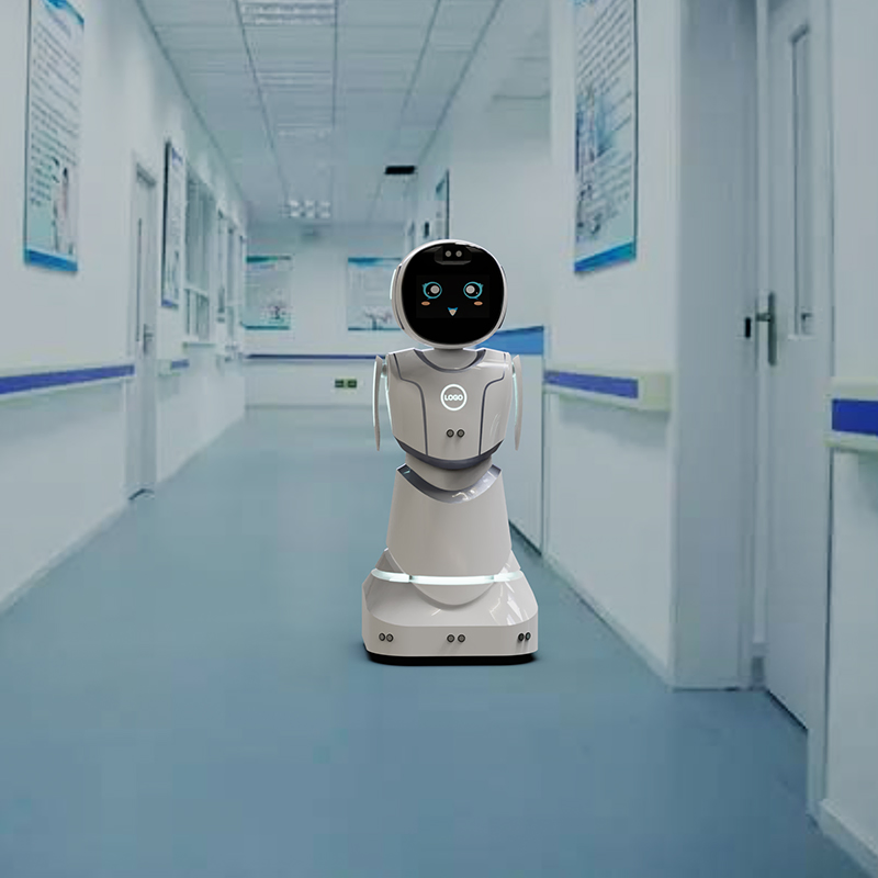 Educational Stem Lessons Coding Games Kids Learning Companion Humanoid Robot