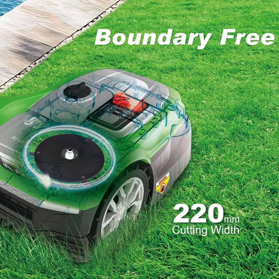 Robotic Mower View 2