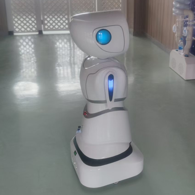 Customized Selling Educational Stem Coding Lessons Interactive Games Humanoid Service Robot