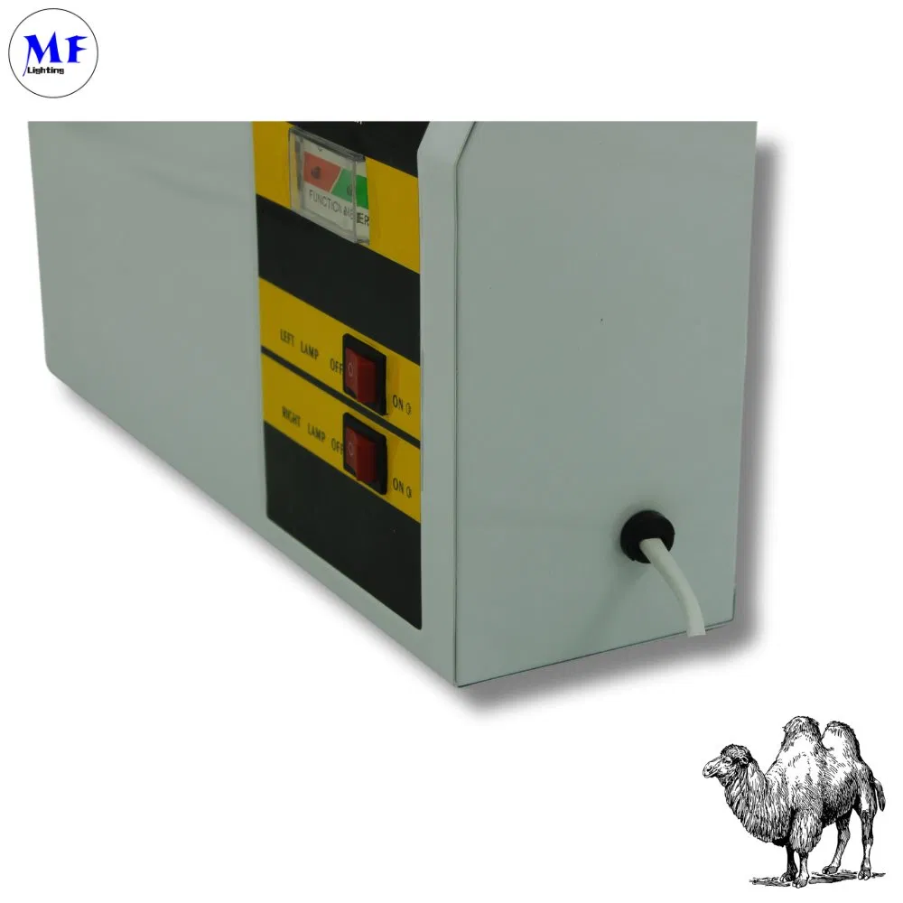 Factory Price IP65 Waterproof Fireproof ABS Dual-Head Backup Adjustable Hotel Basement Emergency Exit LED Light for Indoor Safety Lighting