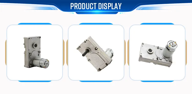 DC Worm Gear Motor View 3
