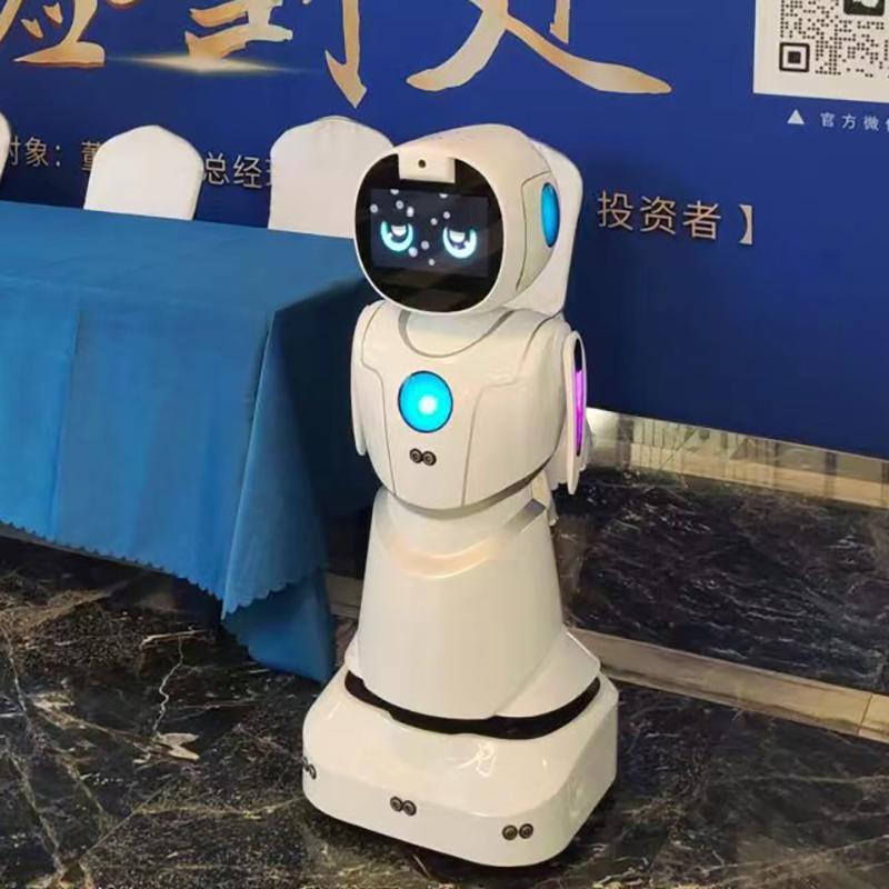 Educational Interactive Games Stem Coding Lessons Kids Learning Humanoid Robot