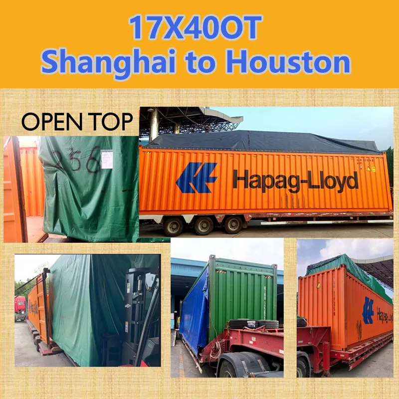 Project Cargo Success