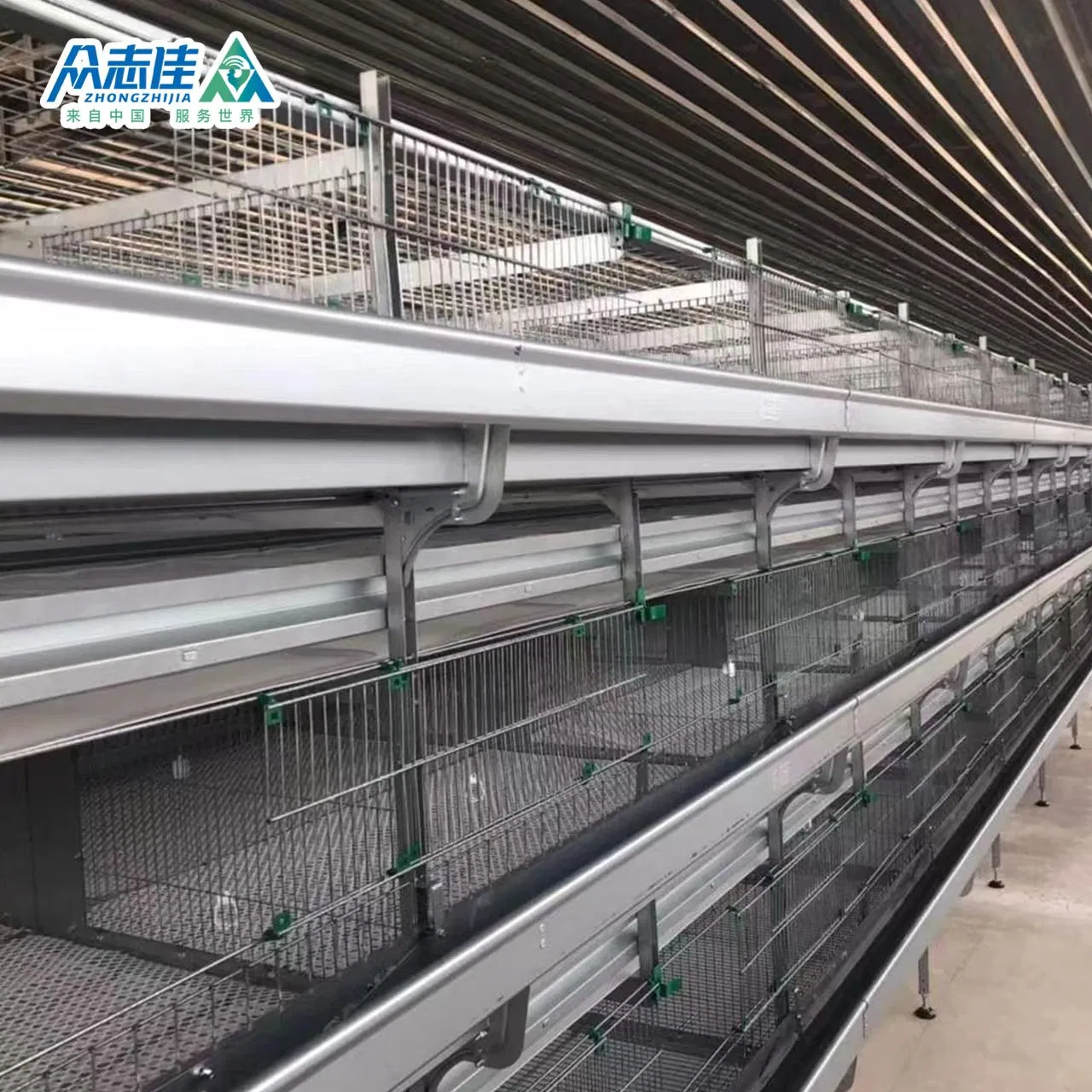 Hot Galvanized H Type Broiler Layer Battery Cage with Environmental Control System Poultry Farming Machine Cage-Coop-for-Poultry-Livestock