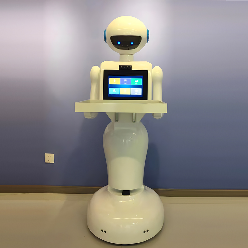 Shock-Absorbing and Vibration-Free and Gentle Delivery Robot
