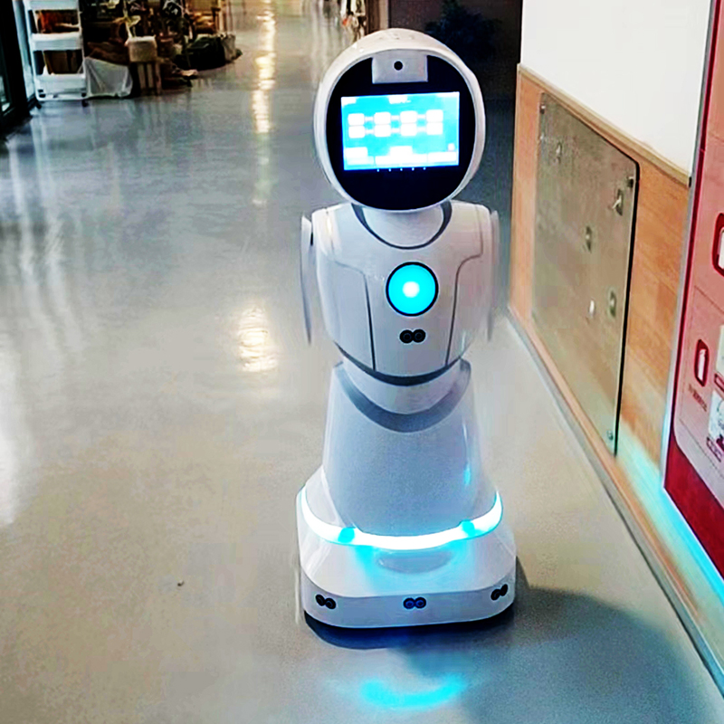 Ai-Driven Conversation Emotional Intelligence Multilingual Support Humanoid Robot