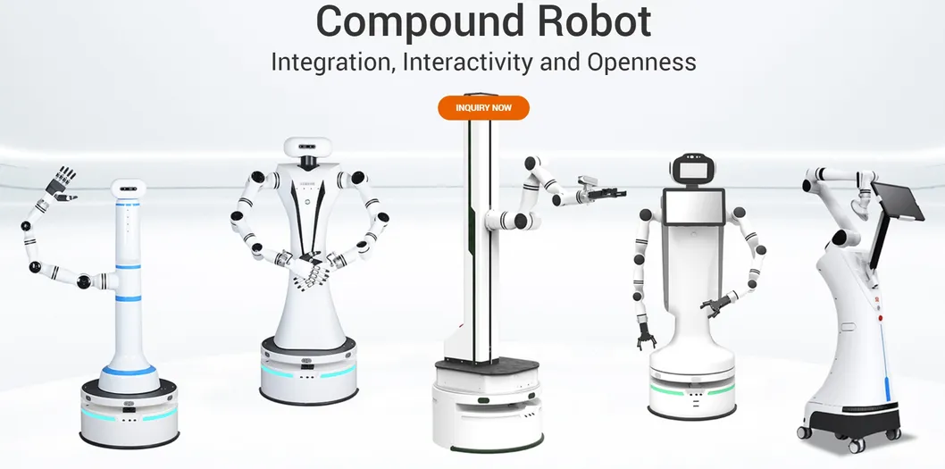Compound Robot Layout