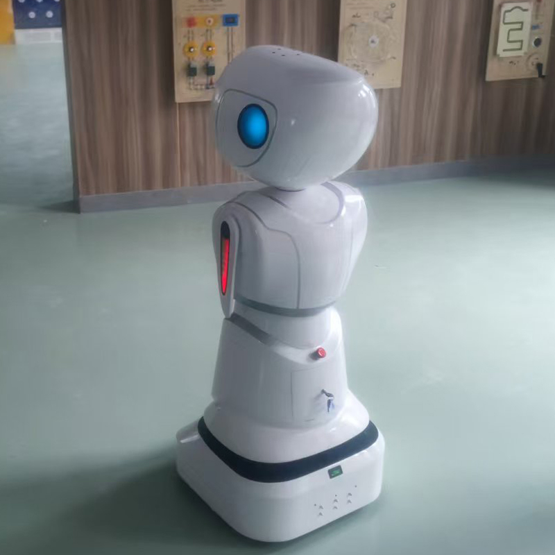Customized Selling Educational Stem Coding Lessons Interactive Games Humanoid Service Robot