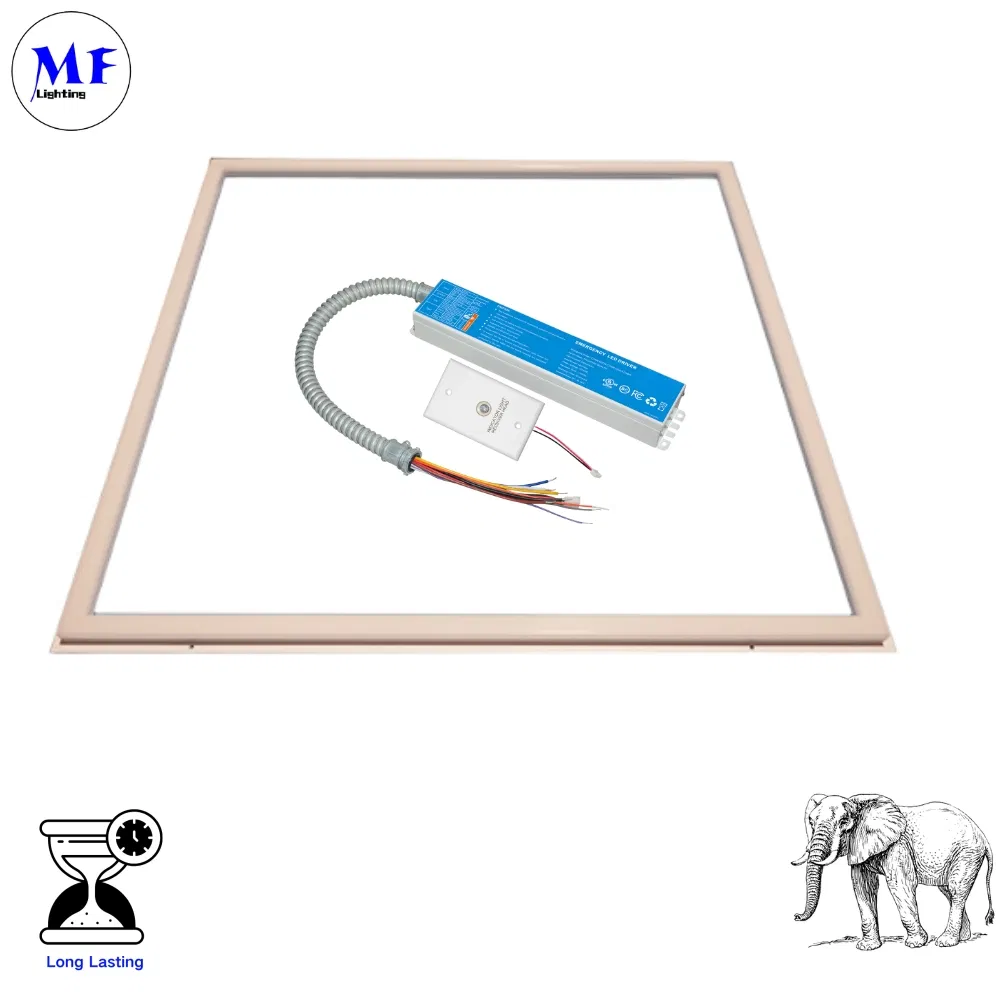 Factory Price UL Listed 0-10V Dimmable LED Emergency Panic Driver with 90 Minute Discharge Time 5 Year Warranty for Wall Light Panel Light Pendant Light