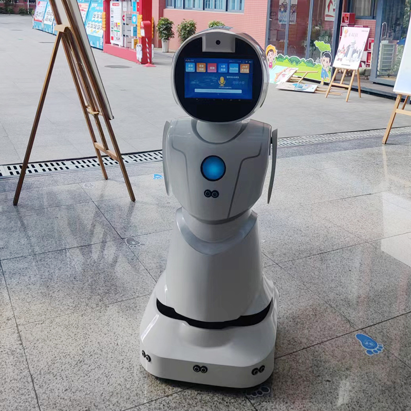 Ai-Based Natural Language Processing Emotional Understanding Humanoid Robot