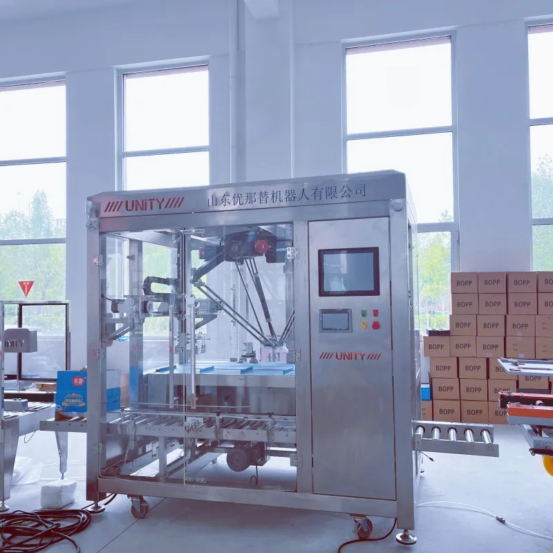 Delta Robot Packing System