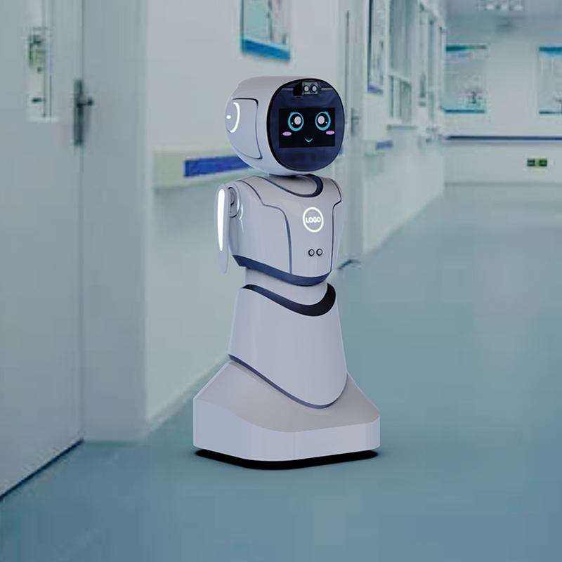 Ai-Powered Conversation Skills Emotional Recognition Social Interaction Humanoid Robot
