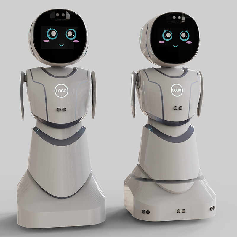 Educational Lesson Planning Progress Tracking Tutoring Aid Humanoid Service Robot