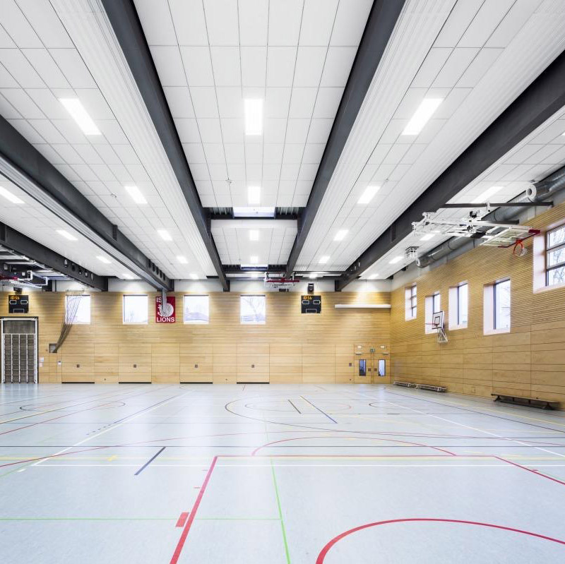 Advanced Dynamic Noise Control Fiberglass Ceiling System with Bio-Inspired Sound Masking Technology for Modern Creative Hubs