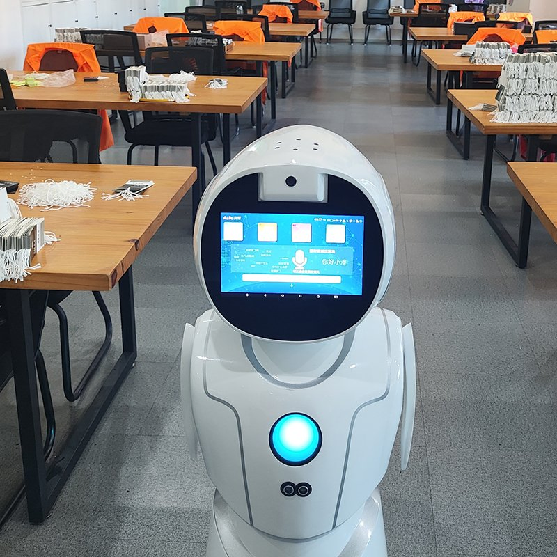 Educational Quiz Games Lesson Reinforcement Kids Learning Humanoid Robot