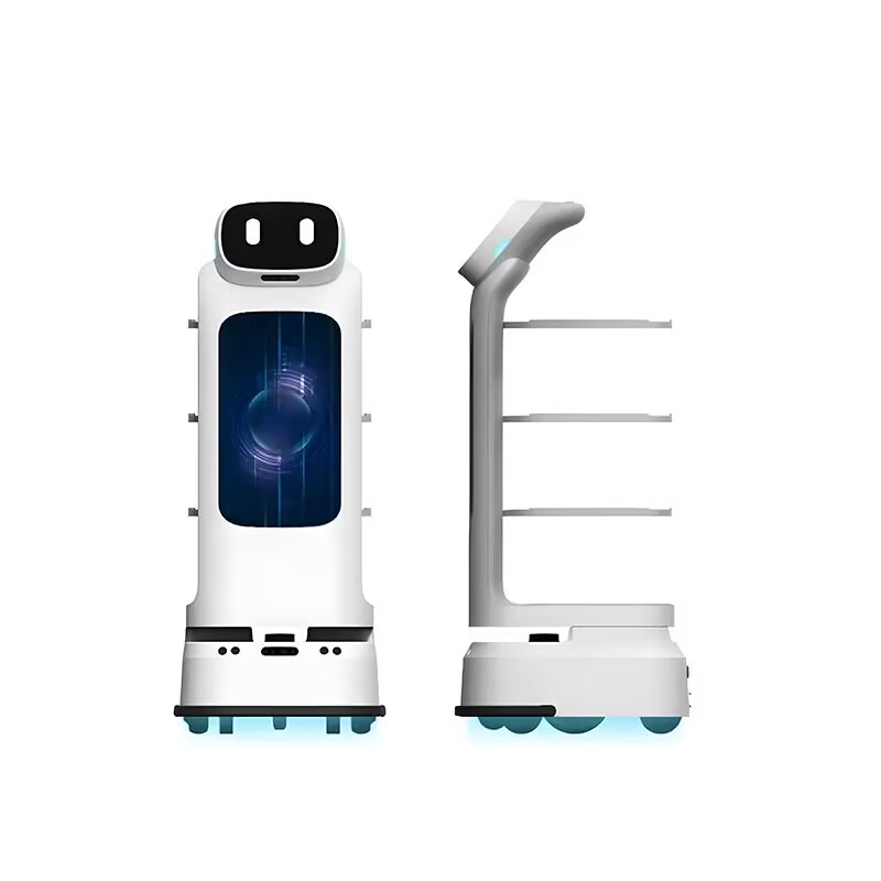 Low-Cost Economical Affordable Autonomous Food Delivery Robot