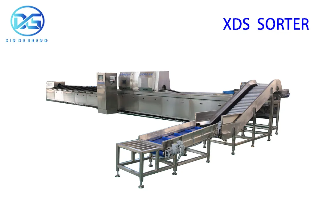 Automatic Fruit Sorting Machine