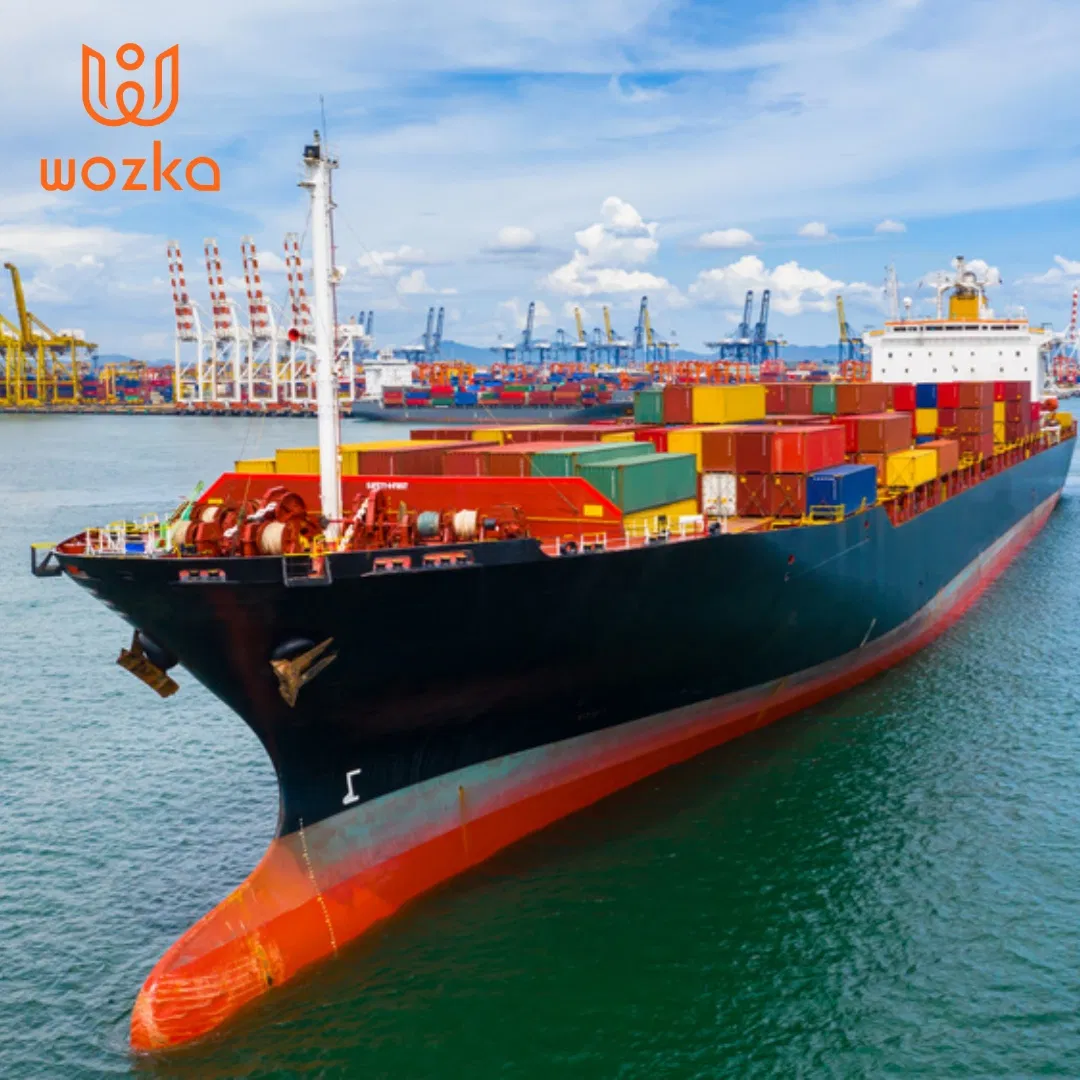 Reliable Sea Freight Forwarder From China to Germany Logistics Company