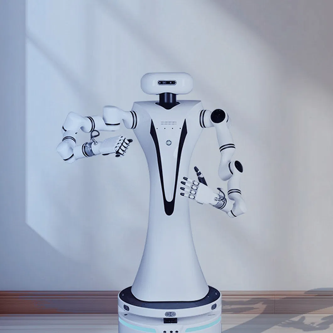 Dual Arm Compound Robot Providing Services for Education Industry