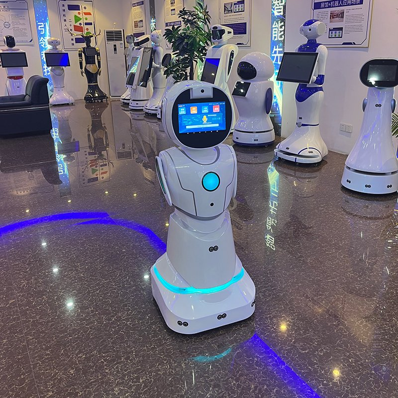 Educational Stem Lessons Coding Games Kids Learning Companion Humanoid Robot