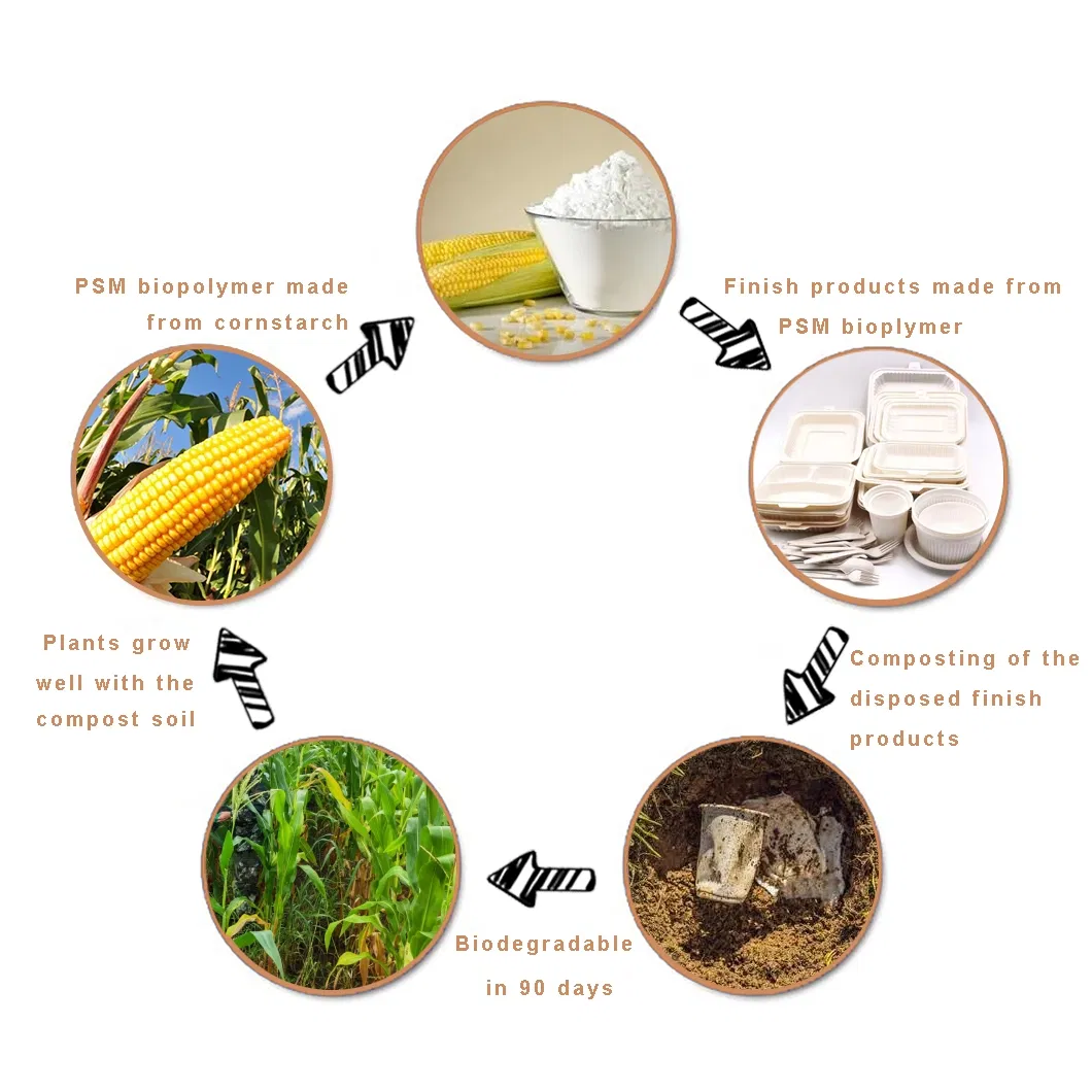 Wheat Straw Plate Display 3