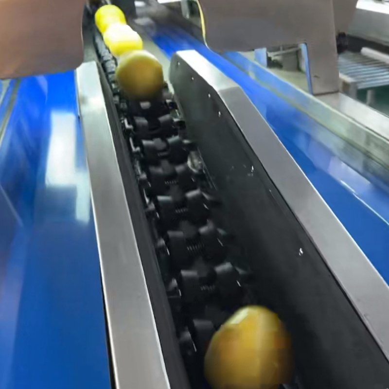 China Supplier Automatic Fruit Sorting Machine with Ai Vision for Apples Citrus