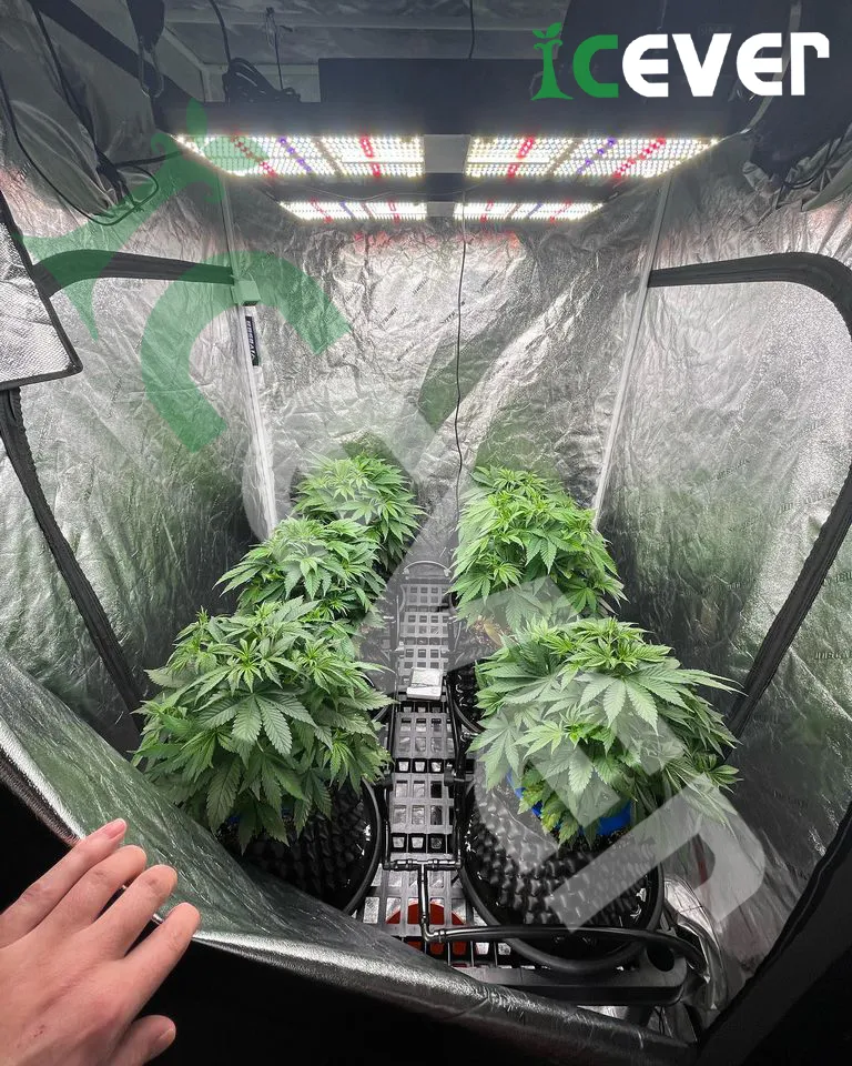 Grow Tent System