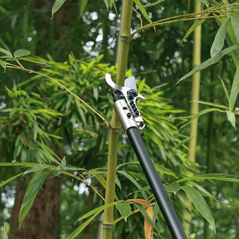 CE Certification Electric Pole Pruner CT-9613 from China Suppliers and Factory - Lightweight, Durable, and Efficient for Professional Use Suppliers, Service