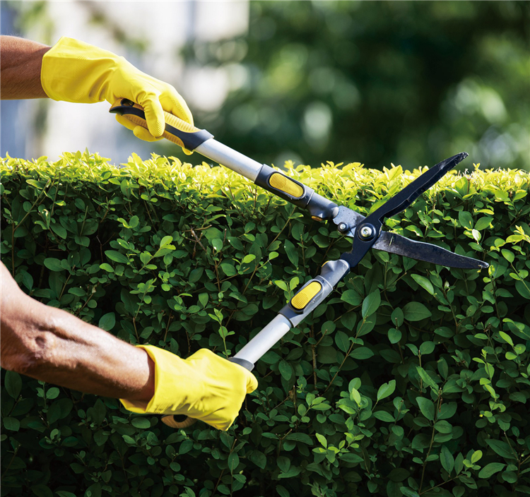 Landscaping and Municipal Maintenance - Chongtai tools for urban park and green belt upkeep