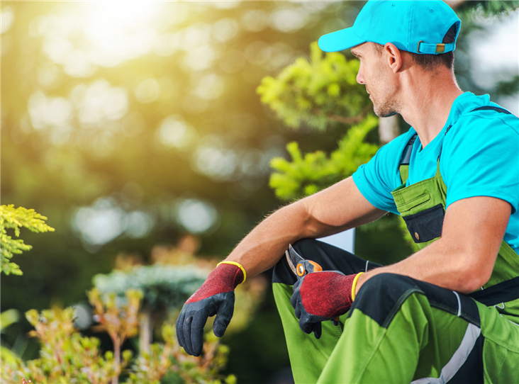 Chongtai manufacturing facility - professional garden tool production environment
