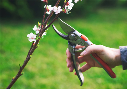 Chongtai team and production line - skilled workers ensuring quality garden tools
