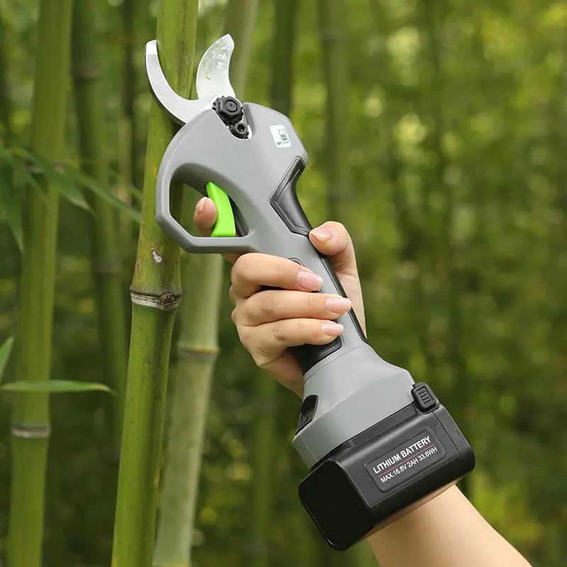 Custom 16.8V Electric Pruning Shear with HD Digital Screen - Efficient Gardening Tool from China Suppliers and Factory Supplier, Company