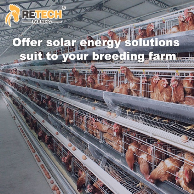 30kw Sistema Híbrido de Energia Solar Inversor de Luz Solar Sistema de Energia Solar Painel Fotovoltaico Conectado à Rede Sistema de Armazenamento Fazenda de Frangos