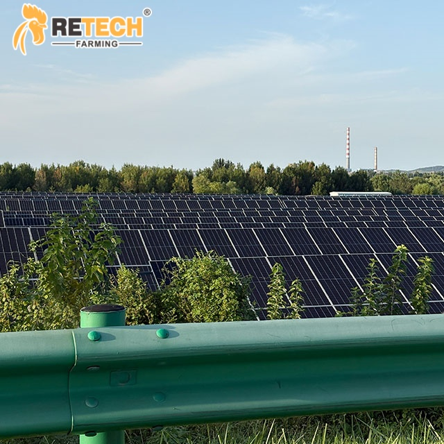 Sistema de Energia Solar Sistema de Armazenamento Híbrido Kit Completo Sistema de Gestão com Bateria e Painéis para Fazendas de Aves