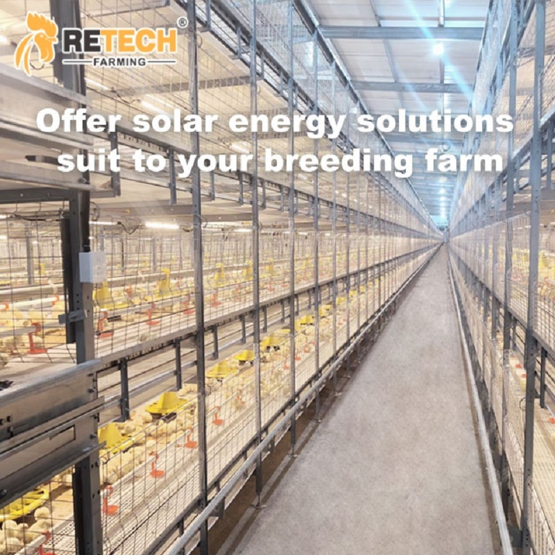 Sistema de Energia Solar Sistema de Armazenamento Híbrido Kit Completo Sistema de Gestão com Bateria e Painéis para Fazendas de Aves